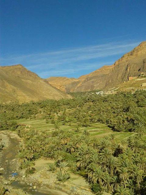Vue de l'oasis d'Aguinane, palmeraie et falaises