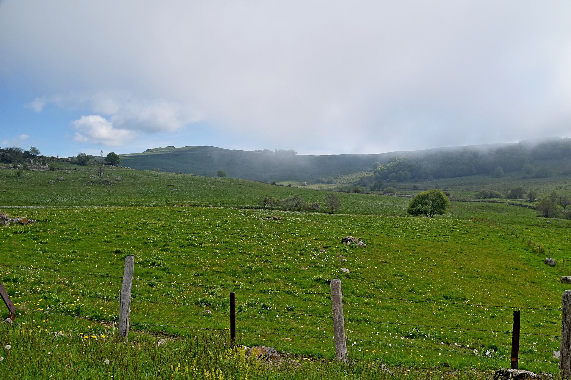 Vue du plateau de l Aubrac depuis le sentier menant au Signal de Mailhebiau, avec les ondulations herbacées à perte de vue.