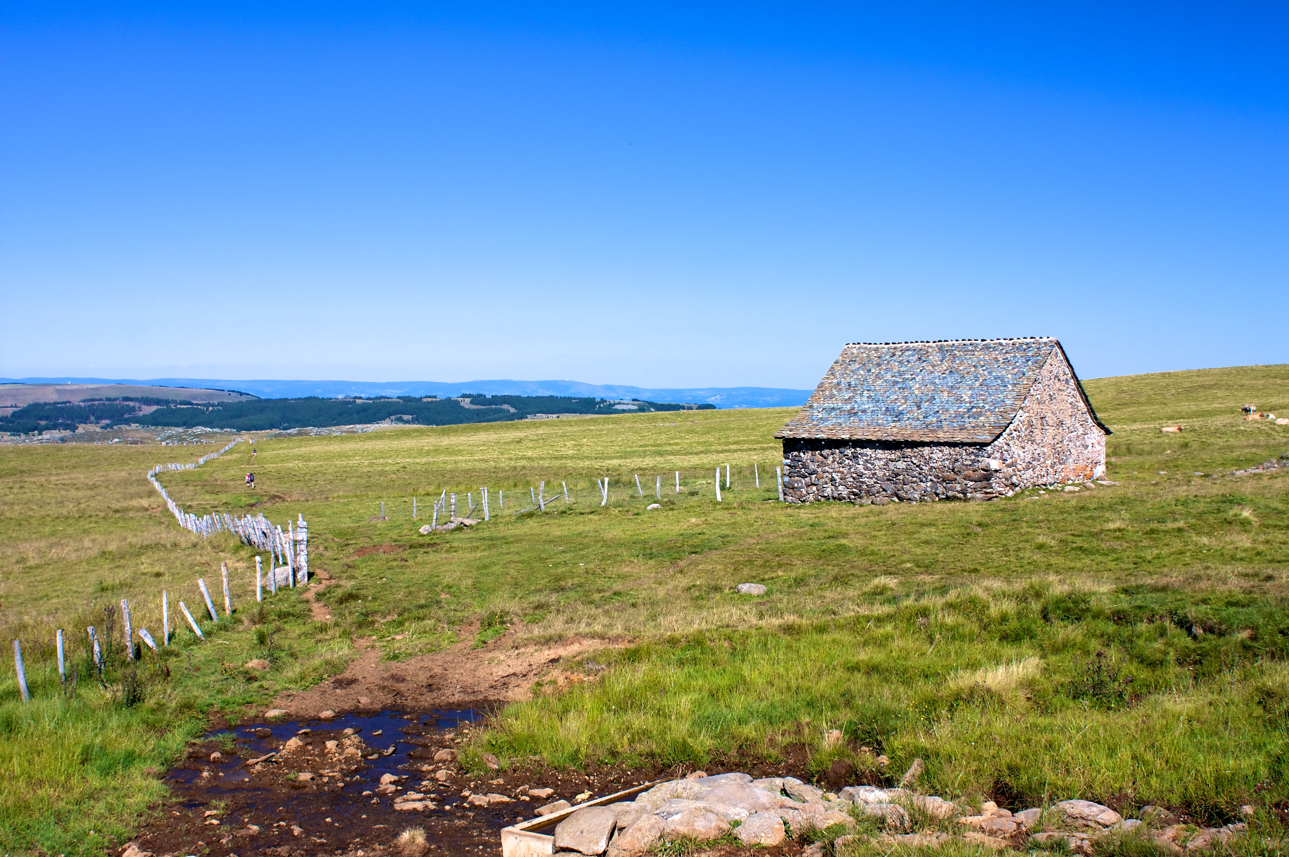 Paysage verdoyant du plateau de l’Aubrac